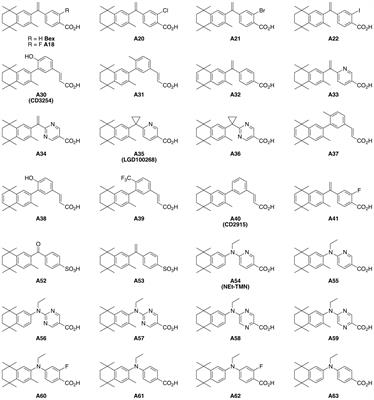 Rexinoids Modulate Effector T Cell Expression of Mucosal Homing Markers CCR9 and α4β7 Integrin and Direct Their Migration In Vitro